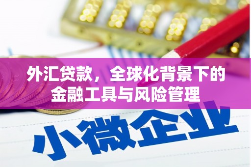 盐山外汇贷款，全球化背景下的金融工具与风险管理